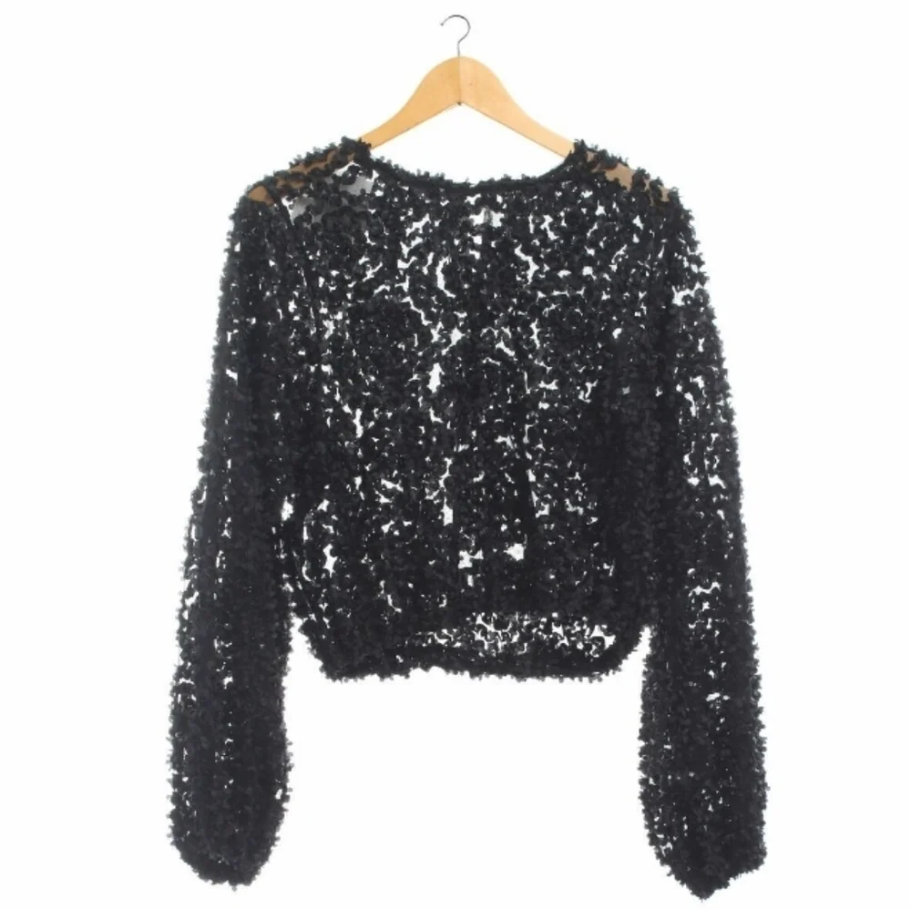 Zara Sheer Black Mesh With 3D Applique Petals Boho Casual Crop Long Sleeve Top